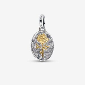 Pandora Rose Medallion Charm